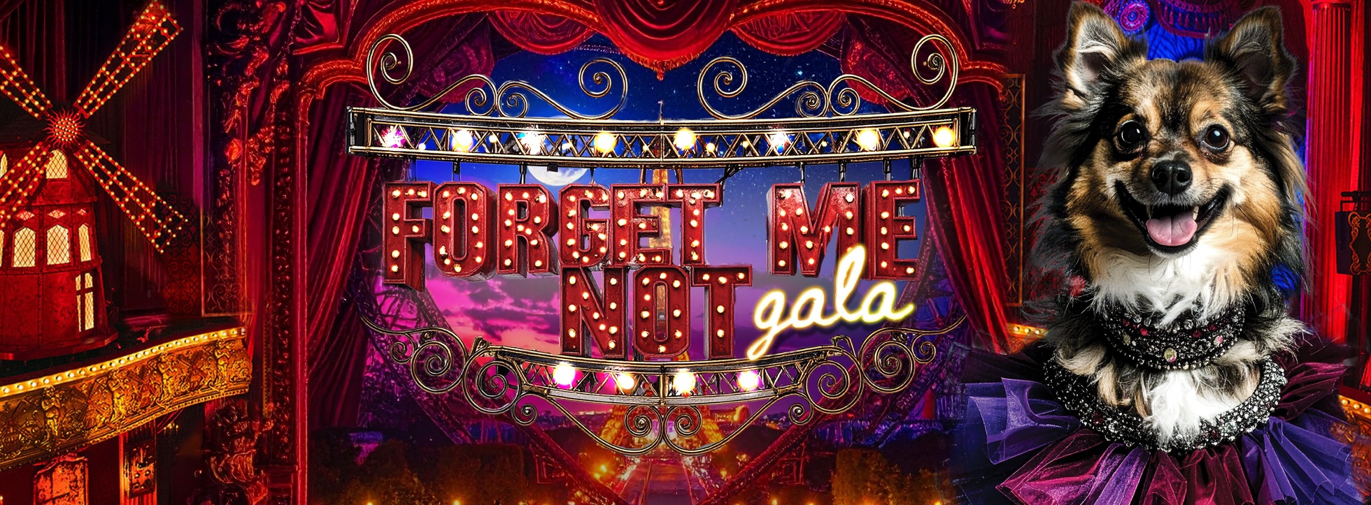 2025 Forget-Me-Not Gala
